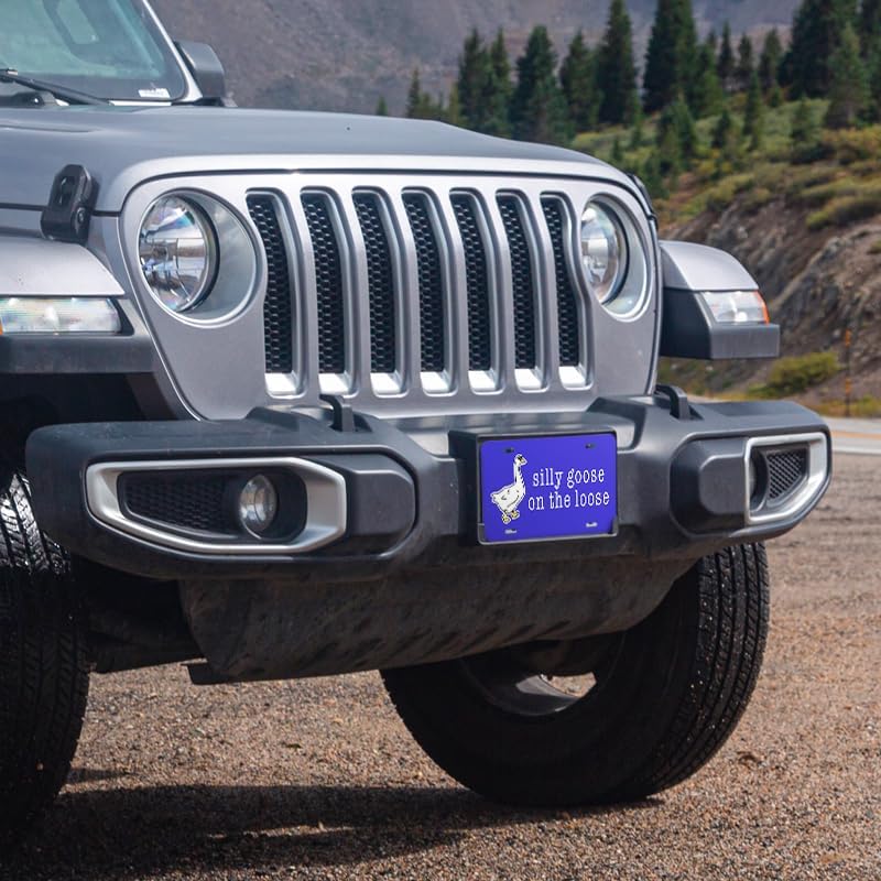 Unique Vanity License Plates | 16 Individual Designs | 3 Sizes (Automobile, Golf Cart, Motorcycle/Bike) | Made in U.S.A. | Custom Car Tags (Silly Goose, Motorcycle/Bike (6" x 3"))