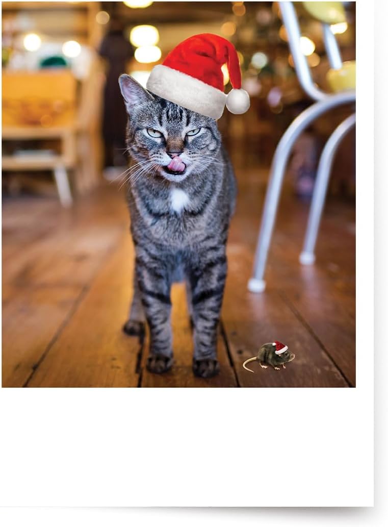 Photographic Christmas Cards, “Not a Creature Was Stirring,” Cat and Mouse with Santa Hats (6 Cards with White Envelopes)