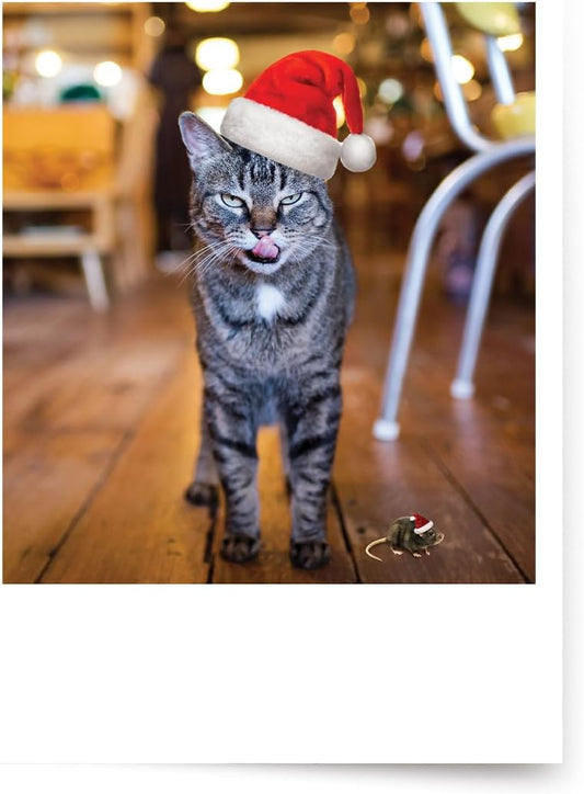 Photographic Christmas Cards, “Not a Creature Was Stirring,” Cat and Mouse with Santa Hats (6 Cards with White Envelopes)