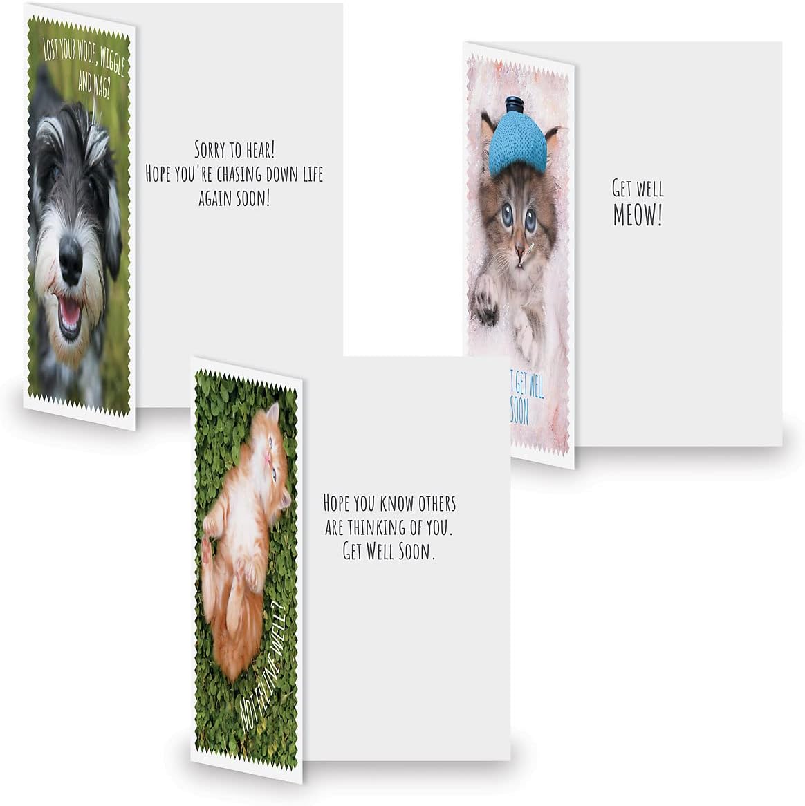 Current Furry Friends Get Well Greeting Cards Value Pack - Set of 20, 10 Unique Designs, Large 5 x 7 Inch Cards, Sentiments Inside, Dogs, Cats, Pets