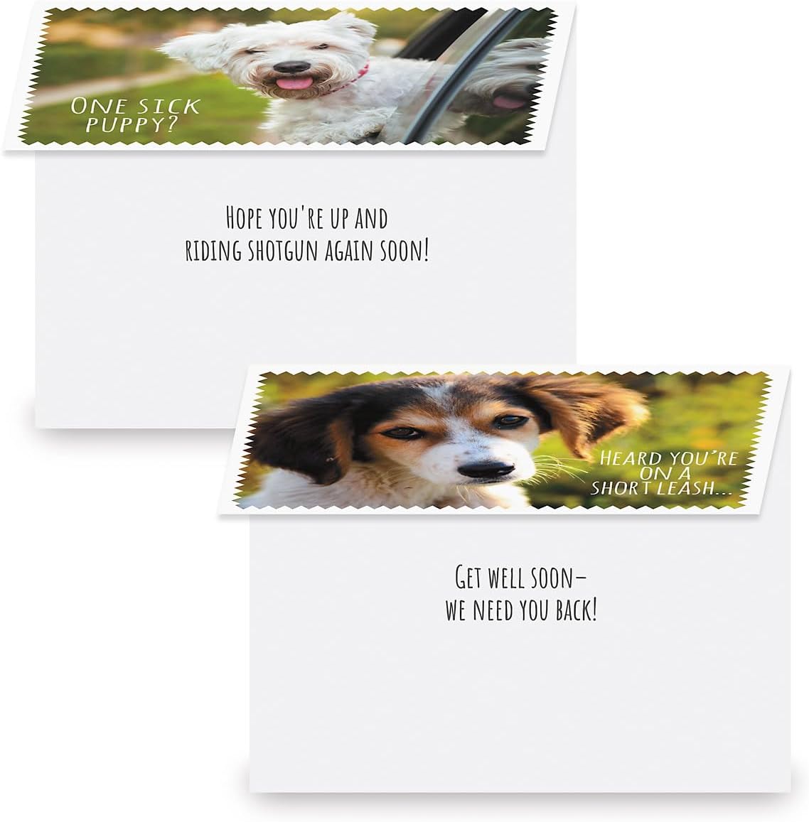 Furry Get Well Greeting Cards - Set of 8 (4 designs), Large 5" x 7", Dog Design Get Well Soon Cards with Sentiments Inside, White Envelopes