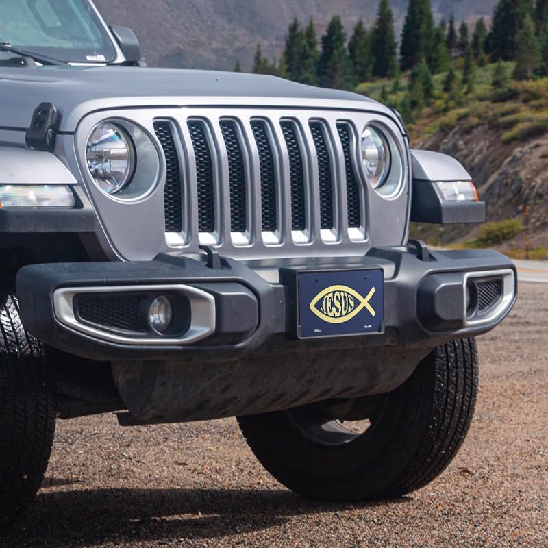 Unique Vanity License Plates | 16 Individual Designs | 3 Sizes (Automobile, Golf Cart, Motorcycle/Bike) | Made in U.S.A. | Custom Car Tags (Jesus Fish, Standard (12" x 6"))