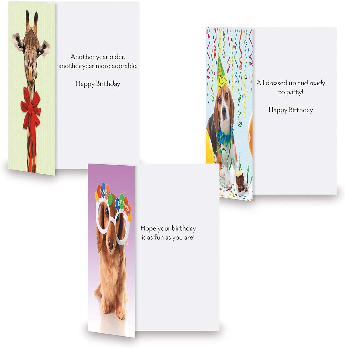 Current Kids Animal Photo Happy Birthday Greeting Card Set - Value Pack of 20 Cards for Kids With White Envelopes, 10 Designs, Large 5" x 7" Assortment