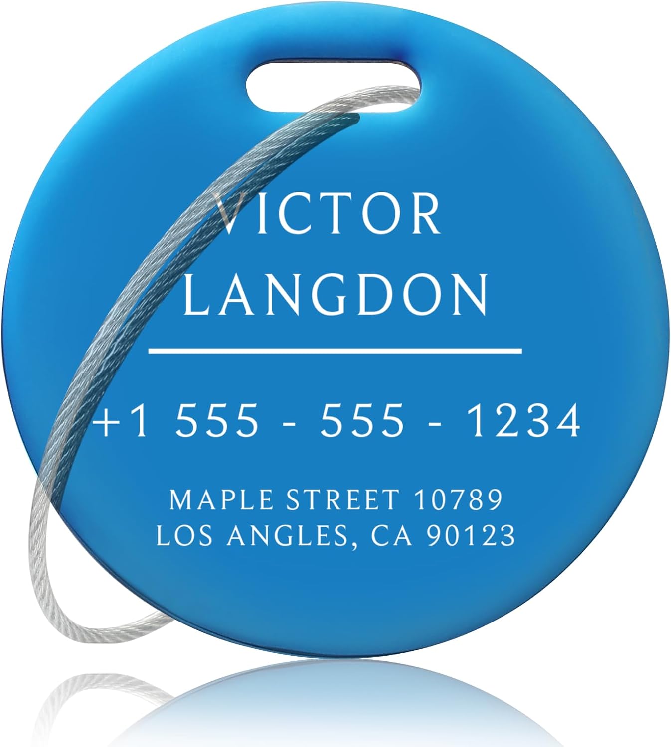 Stainless Luggage Tags for Suitcases: Metal Personalized Luggage Tags and Bags with Customizable Texts (Blue)