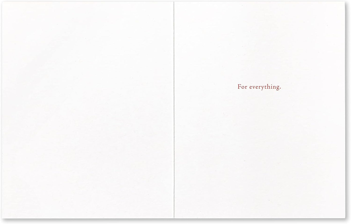 Compendium Positively Green 4-Pack of Thank You Cards – Blooms (Four Different Designs, One Card Each, with Envelopes)