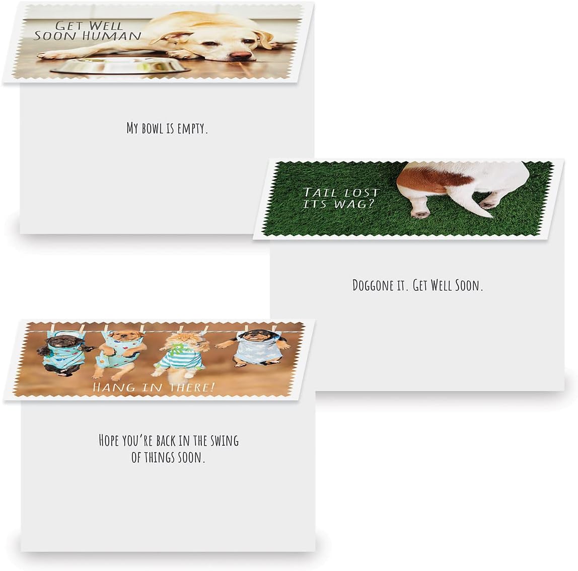 Current Furry Friends Get Well Greeting Cards Value Pack - Set of 20, 10 Unique Designs, Large 5 x 7 Inch Cards, Sentiments Inside, Dogs, Cats, Pets