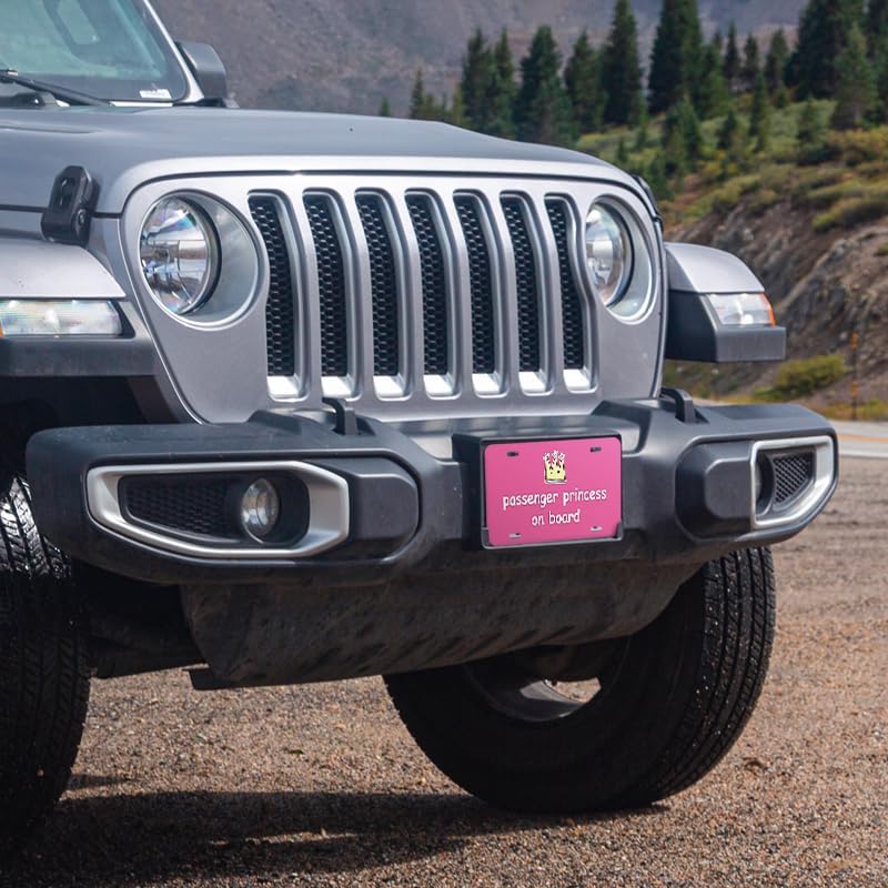 Unique Vanity License Plates | 16 Individual Designs | 3 Sizes (Automobile, Golf Cart, Motorcycle/Bike) | Made in U.S.A. | Custom Car Tags (Passenger Princess, Standard (12" x 6"))