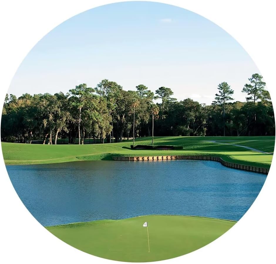 USA Florida Golf Course Canvas Wall Art for Office TPC Sawgrass Golf Course Pictures Posters Wall Decor for Living Room Bedroom Bathroom Home Decorations Framed Ready to Hang(20''W x 40''H x3)