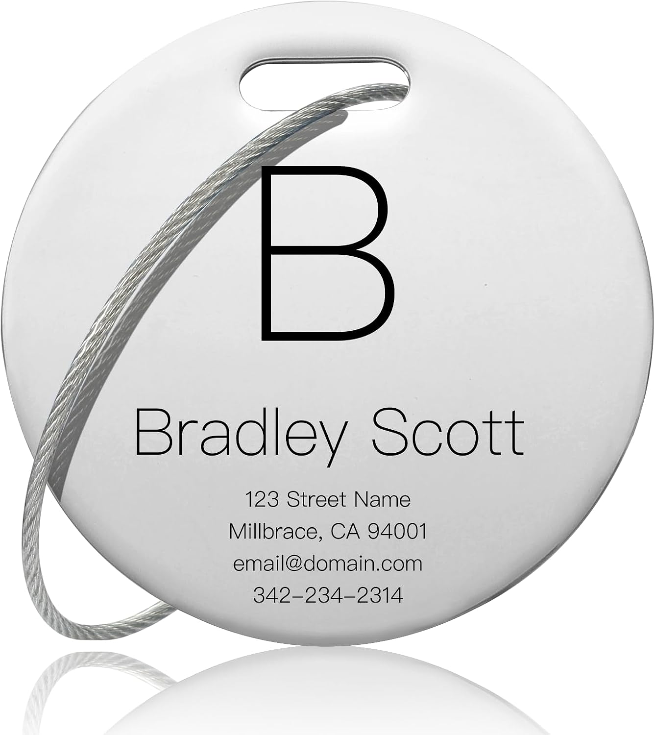 Customized Stainless Steel Luggage Tags: Personalize Your Suitcases, Backpacks, and Bags with Your Text (Silver)