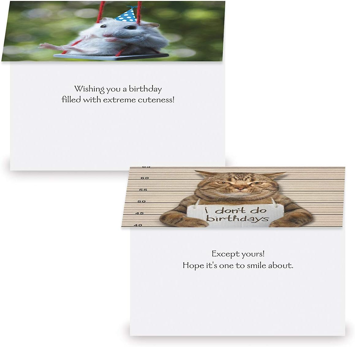 Current Kids Animal Photo Happy Birthday Greeting Card Set - Value Pack of 20 Cards for Kids With White Envelopes, 10 Designs, Large 5" x 7" Assortment