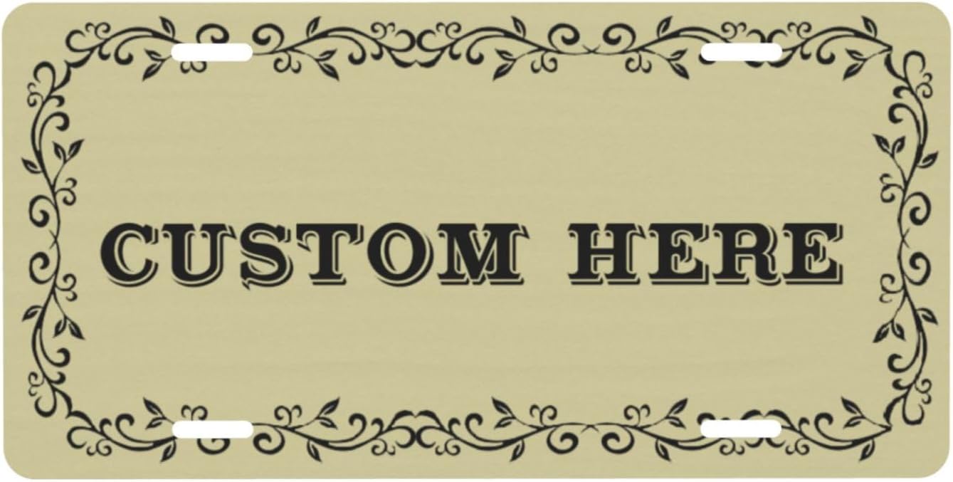 Custom Personalized Text Image Photo Design Customized Tag Aluminum License Plates for Front of Car 6x12 Inch-2