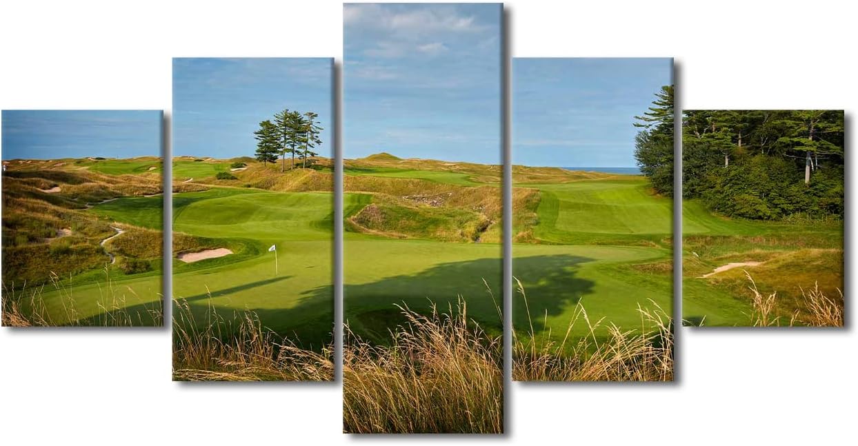 5 Piece Golf Wall Art Wisconsin USA Wall Decor Golf Course Wall Art Nature Landscape Wall Decor Poster Golf Course Field Pictures for Walls Print for Bedroom Decor Framed Ready to Hang - 60"W x 32"H