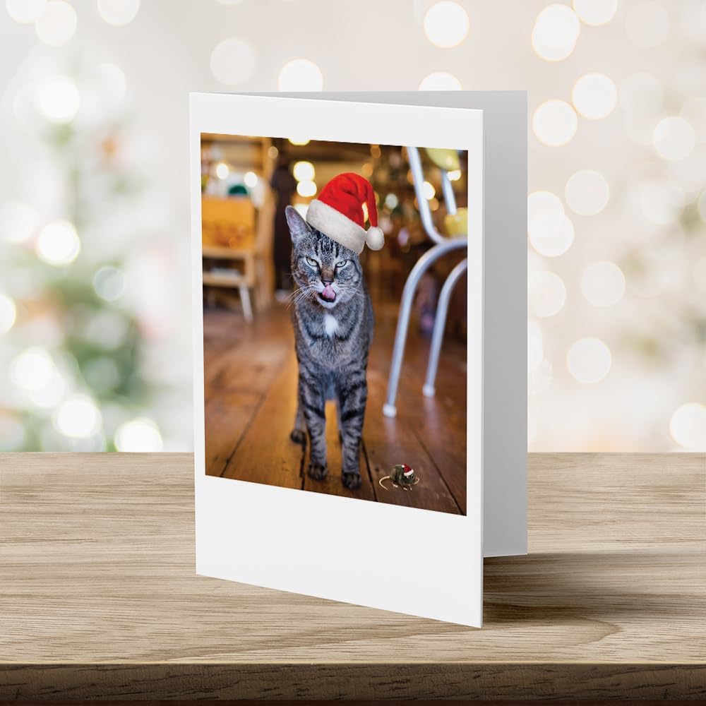 Photographic Christmas Cards, “Not a Creature Was Stirring,” Cat and Mouse with Santa Hats (6 Cards with White Envelopes)