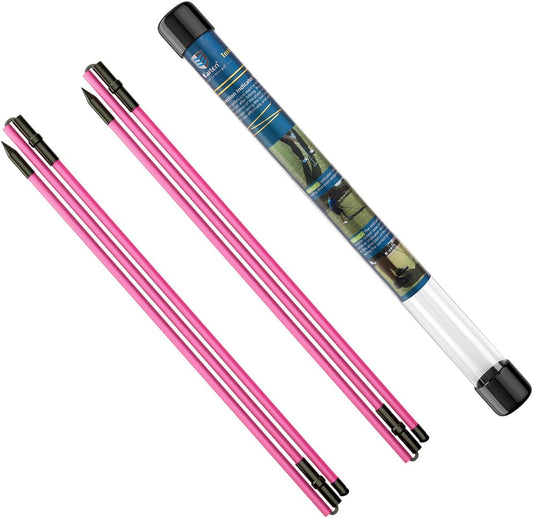 Rhino Valley Golf Alignment Sticks - 48" Collapsible Golf Practice Rods for Aiming, Putting, Full Swing Trainer, Posture Corrector with Clear Tube Case, Golf Training Equipment