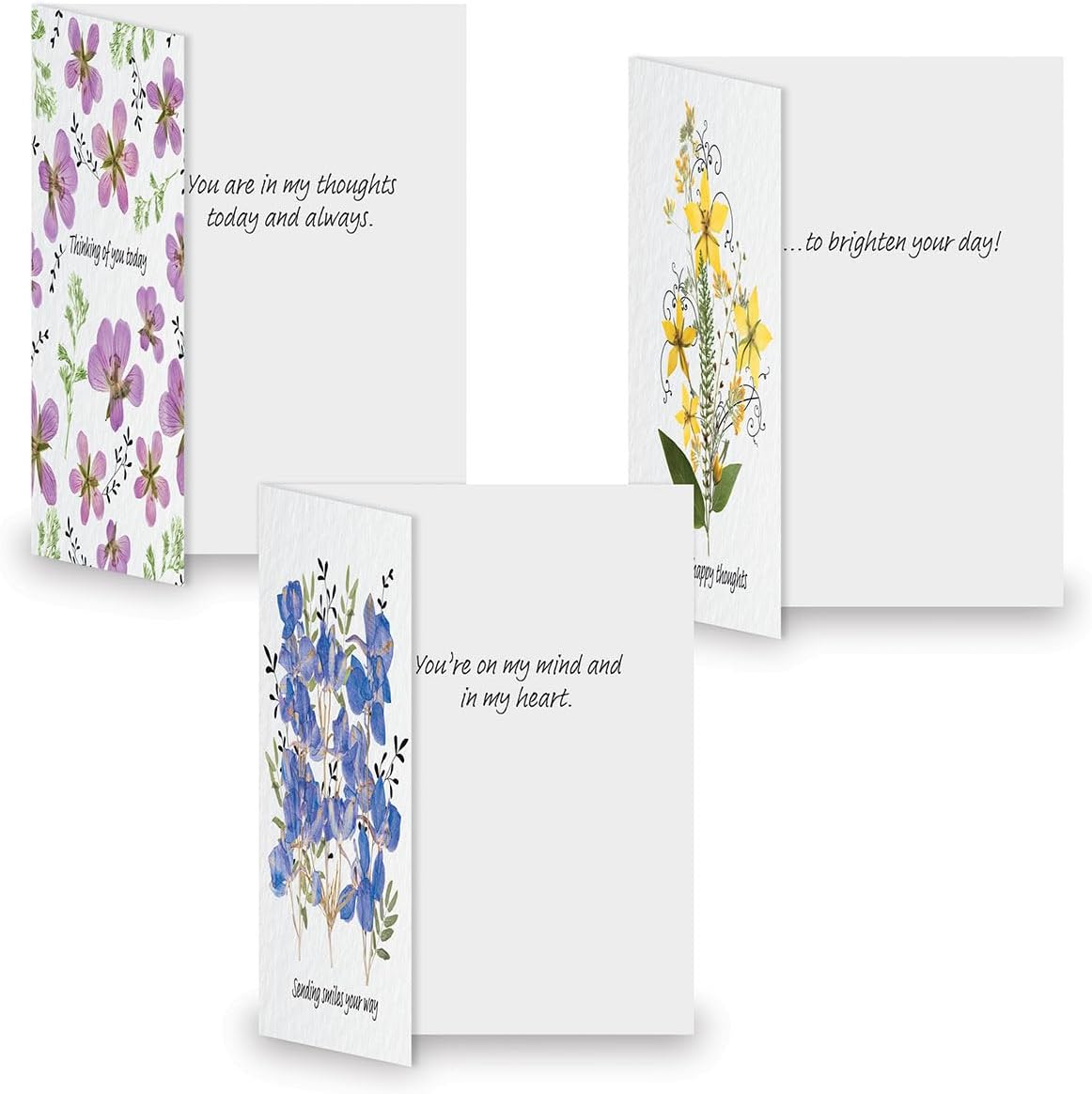 Current Pressed Flowers Thinking of You Friendship Greeting Card Set - Value Pack of 20 Cards With White Envelopes for Friends & Family, 10 Designs, Large 5" x 7" Assortment