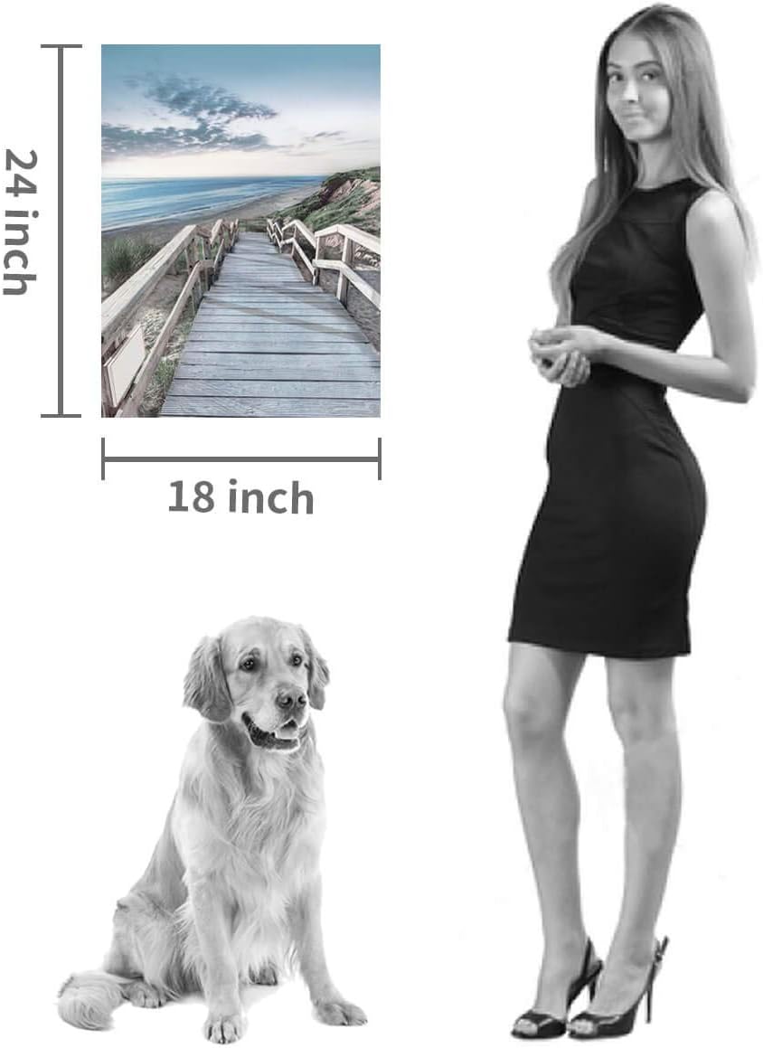 Beachside Wooden Path Wall Art: Bridge Boardwalk Stair Graphic Art on Wrapped Canvas for Wall Decor (18''x24'')