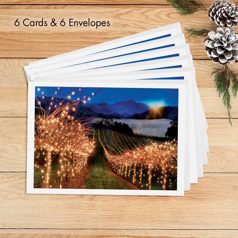 Photographic Happy Holidays Cards, Field of Lights (6 Cards with White Envelopes)
