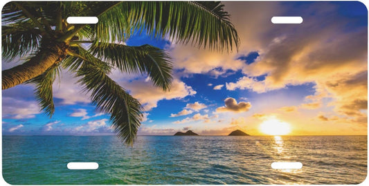 Palm Tree Ocean Summer License Plate Funny Aluminum Front License Plates Decorative Waterproof Rust-Free Metal Car Plate Covers for Women Men Car Tag Accessories fit Truck SUV Rv 12 X 6 Inch