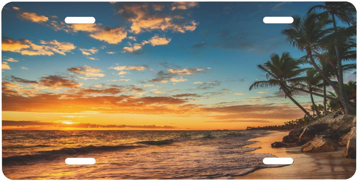 Beach Palm Tree Ocean License Plate Funny Aluminum Front License Plates Decorative Waterproof Rust-Free Metal Car Plate Covers for Women Men Car Tag Accessories fit Truck SUV Rv 12 X 6 Inch