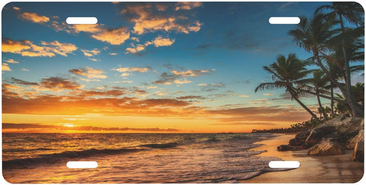 Beach Palm Tree Ocean License Plate Funny Aluminum Front License Plates Decorative Waterproof Rust-Free Metal Car Plate Covers for Women Men Car Tag Accessories fit Truck SUV Rv 12 X 6 Inch