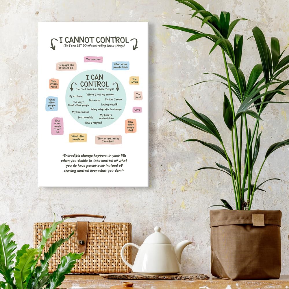 uoyien Growth Mindset Mental Health Posters I Cannot Control and I Can Control Positive Affirmations Charts Canvas Wall Art Kids Educational Prints For Calming Corner Decorations Framed 16x24in
