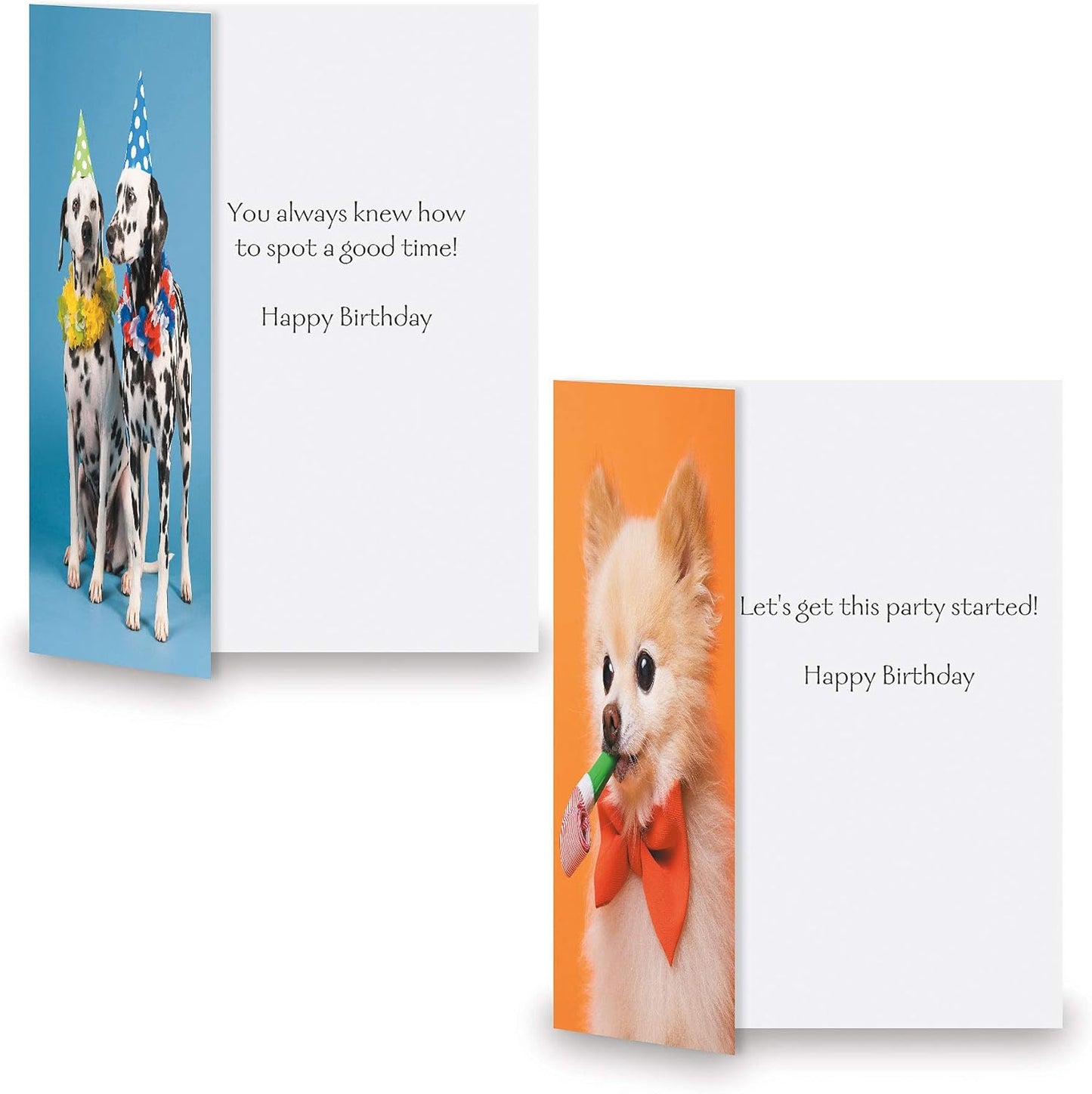 Current Kids Animal Photo Happy Birthday Greeting Card Set - Value Pack of 20 Cards for Kids With White Envelopes, 10 Designs, Large 5" x 7" Assortment