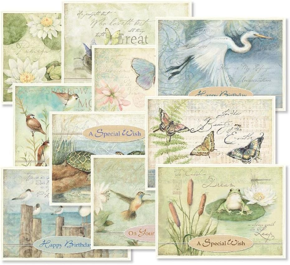 Current Nature's Sanctuary Happy Birthday Greeting Card Set - Value Pack of 20 Cards With White Envelopes, 10 Designs, Large 5" x 7" Assortment