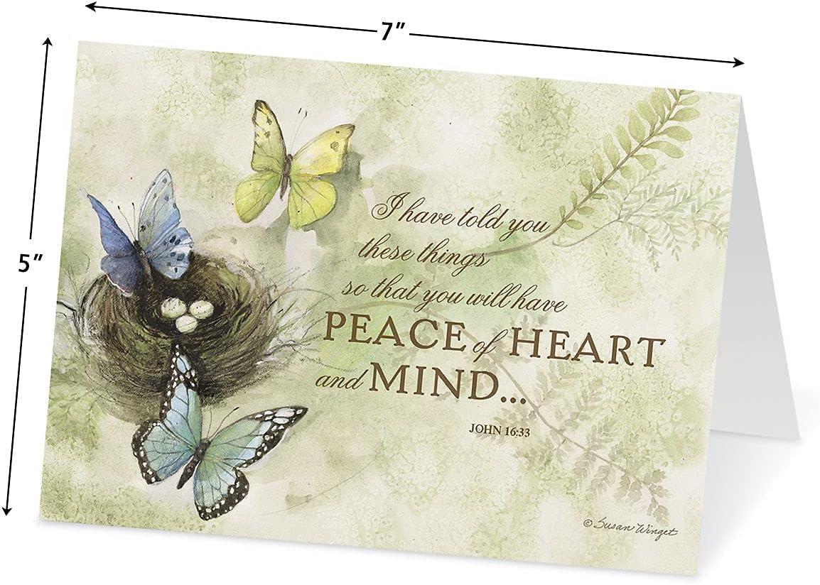 Current Susan Winget Studio All Occasion Value Pack With Seals - 40 Cards & Envelopes, Celebration, Get Well, Sympathy, Birthday, Holiday, & Greeting Variety, Large 5" x 7" Assortment, 20 Design Set