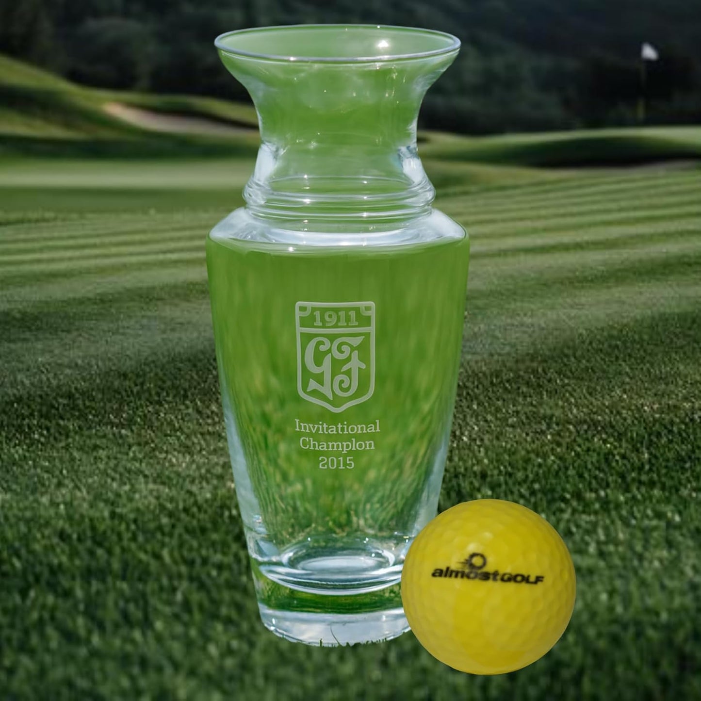 Best Practice Golf Balls on The Planet. Perfect for Golf Training. Solid Contact for Great Feedback. Limited Flight for Backyard use. Safe for Indoors. by AlmostGolf (10 Pack Yellow)