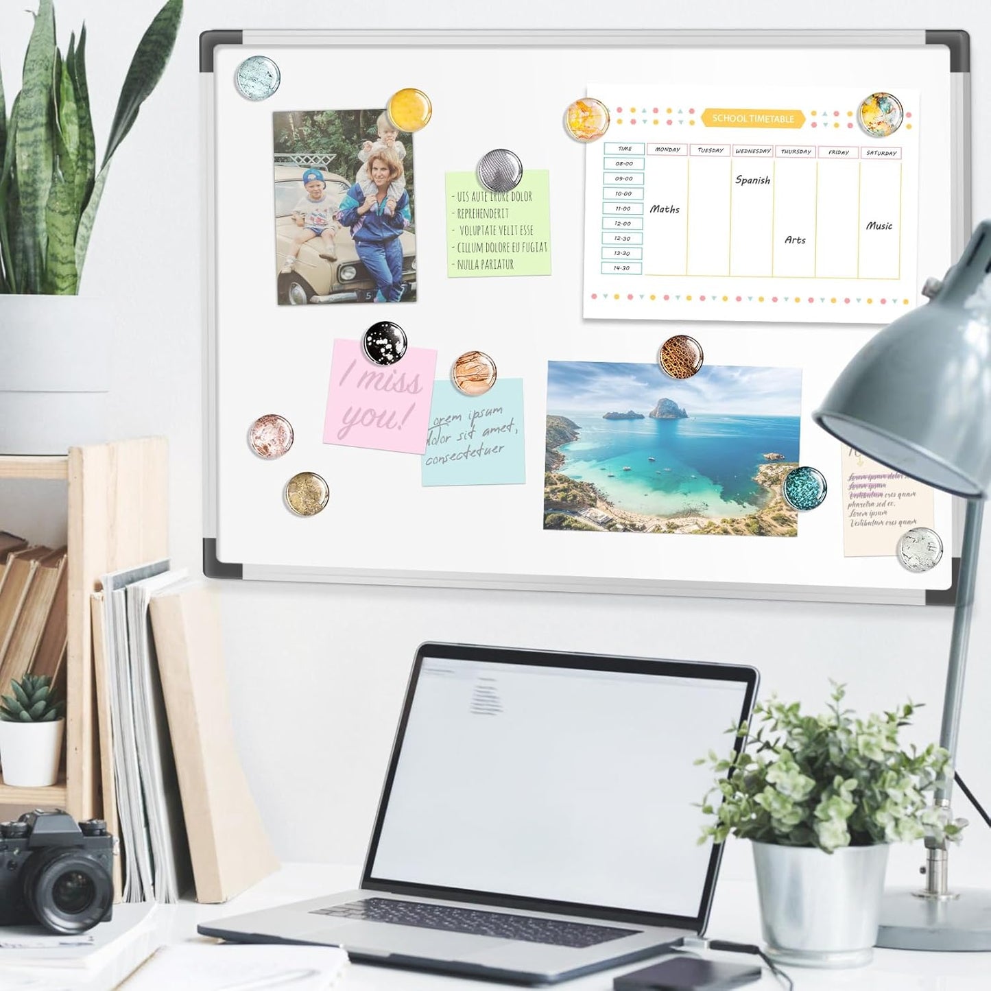 FINDMAG 12 Pcs Refrigerator Magnets Decorative, Small Cute Magnets, Strong Fridge Magnets Sticker, Dry Erase Board Magnet for Classroom, Kitchen, Cabinet, Gift