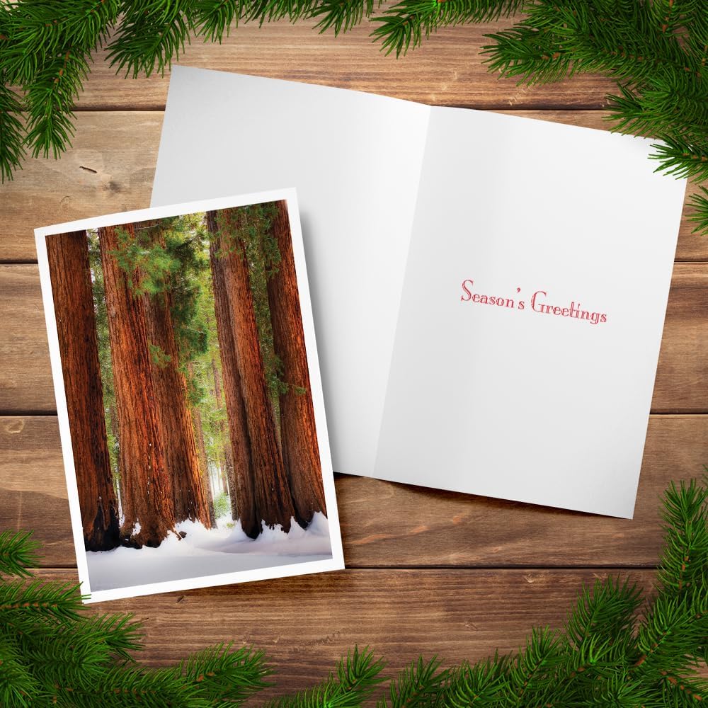 Photographic Season’s Greetings Cards, Sequoia National Park (6 Cards with White Envelopes)