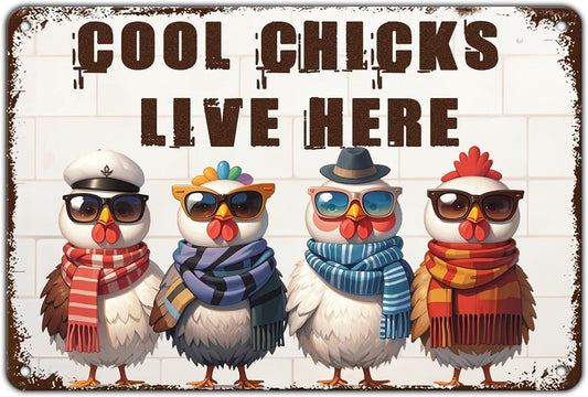 Funny Cool Chicks Live Here Tin Sign Plaque Metal Poster 12x8 Inch Home Kitchen Garden Restaurant Farm Wall Decor