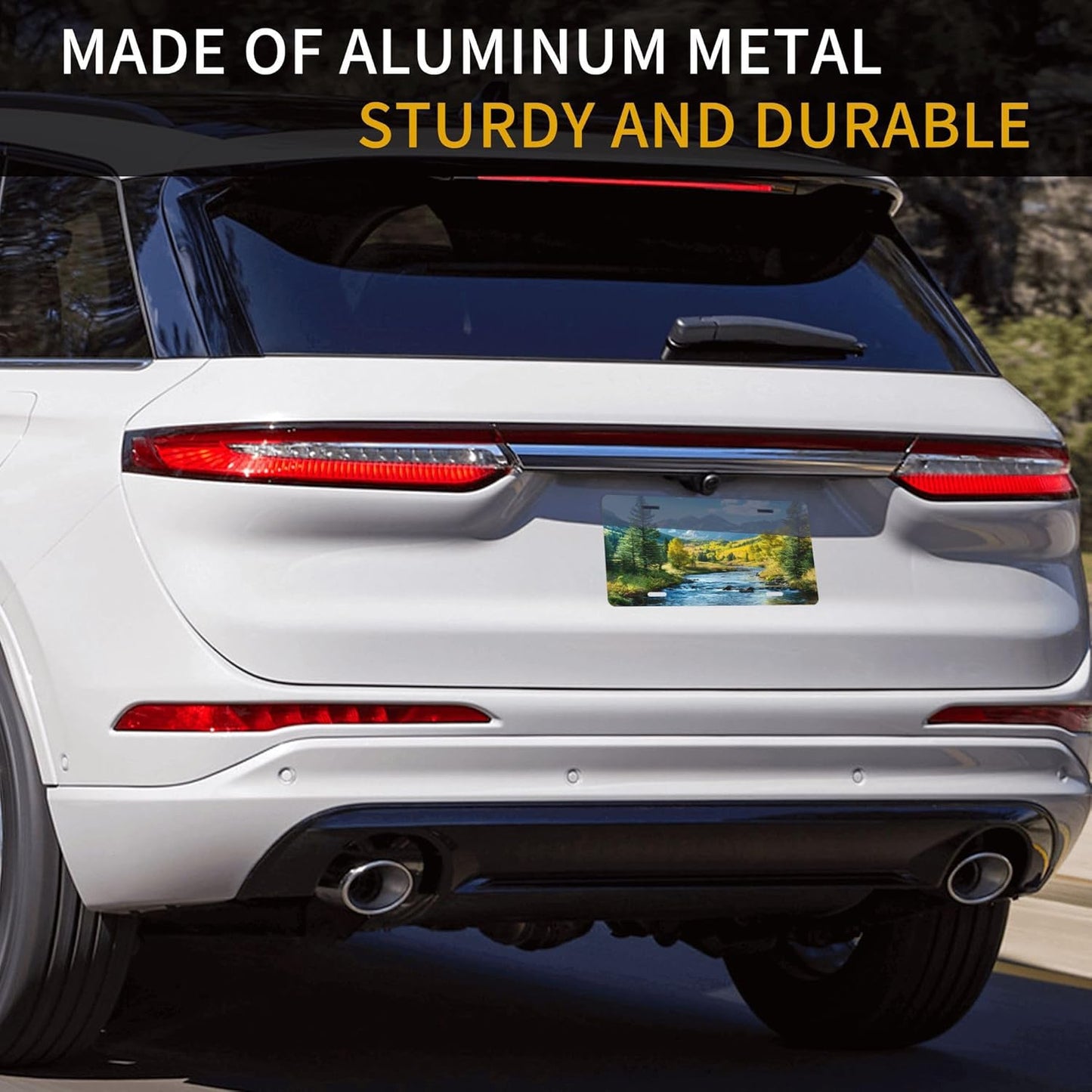 Forest River Blue Sky License Plate Funny Aluminum Front License Plates Decorative Waterproof Rust-Free Metal Car Plate Covers for Women Men Car Tag Accessories fit Truck SUV Rv 12 X 6 Inch