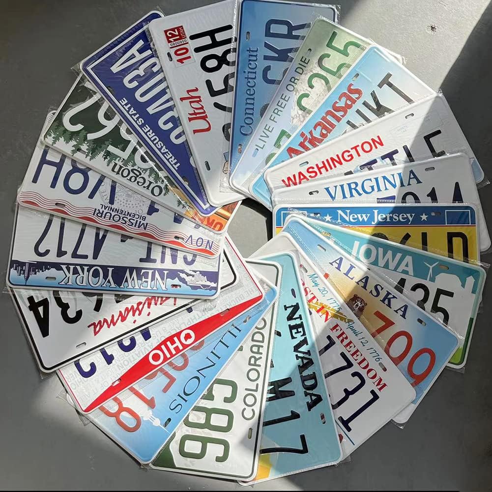 Assorted Replica License Plates, Prop Number Tags, Man Cave Garage Bar Decor, 6x12 inches (10 pcs)