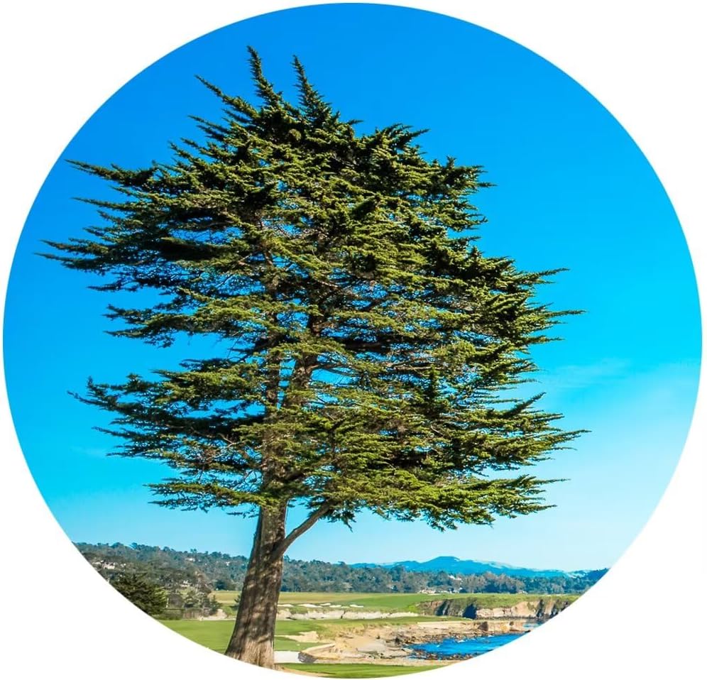 Pebble Beach Golf Course 18th Hole Green Wall Art for Living Room Bedroom Bathroom Home Decorations Golf Course Picture Poster Canvas Prints Modern Framed Artwork Ready to Hang(18''H x 24''W)