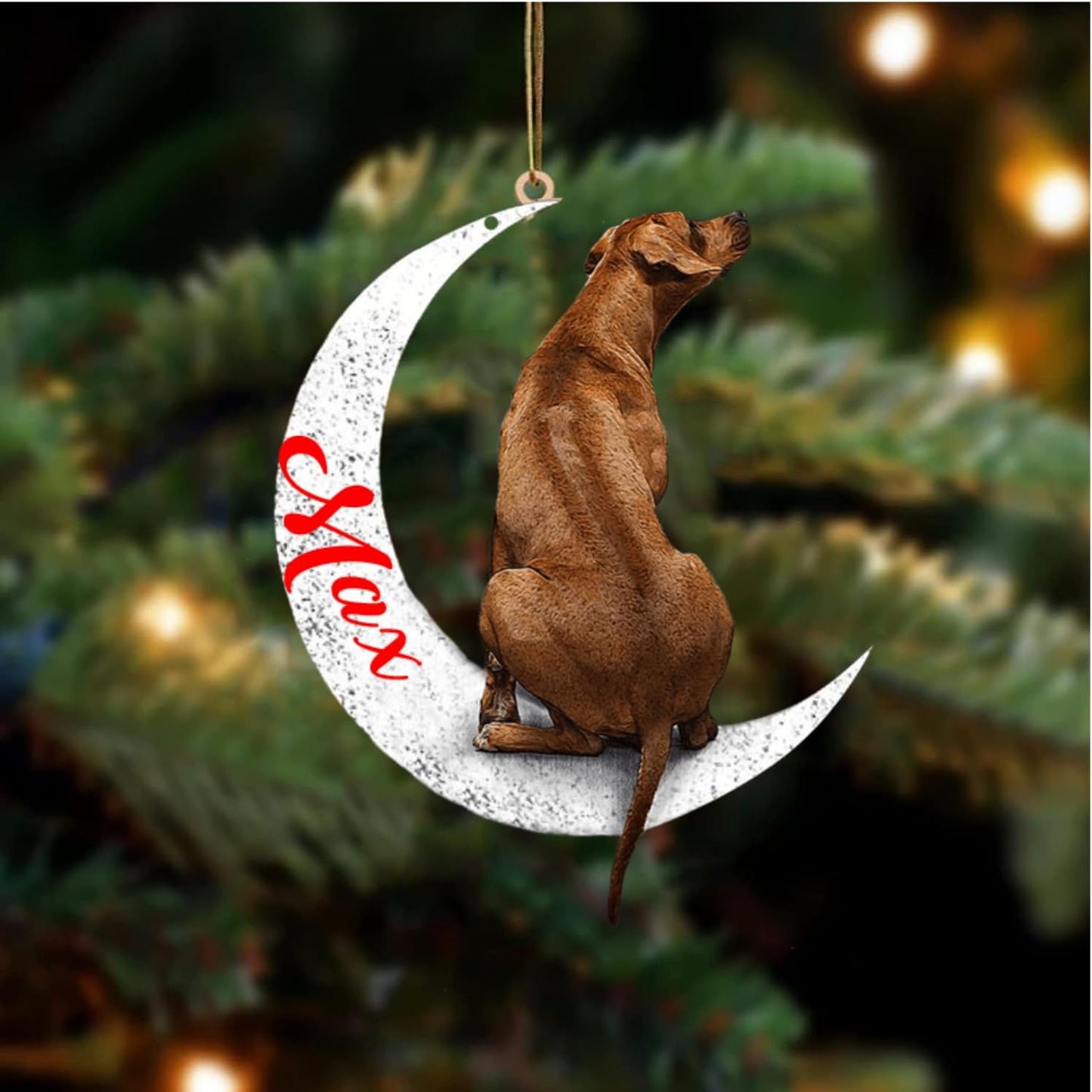 Custom Rhodesian Ridgeback Dog Sit on The Moon Ornaments, Custom Your Dog Name, Christmas Dog Lover Gifts - Christmas for Dogs, Dog Christmas Ornaments 2023, Flat 2D Printing
