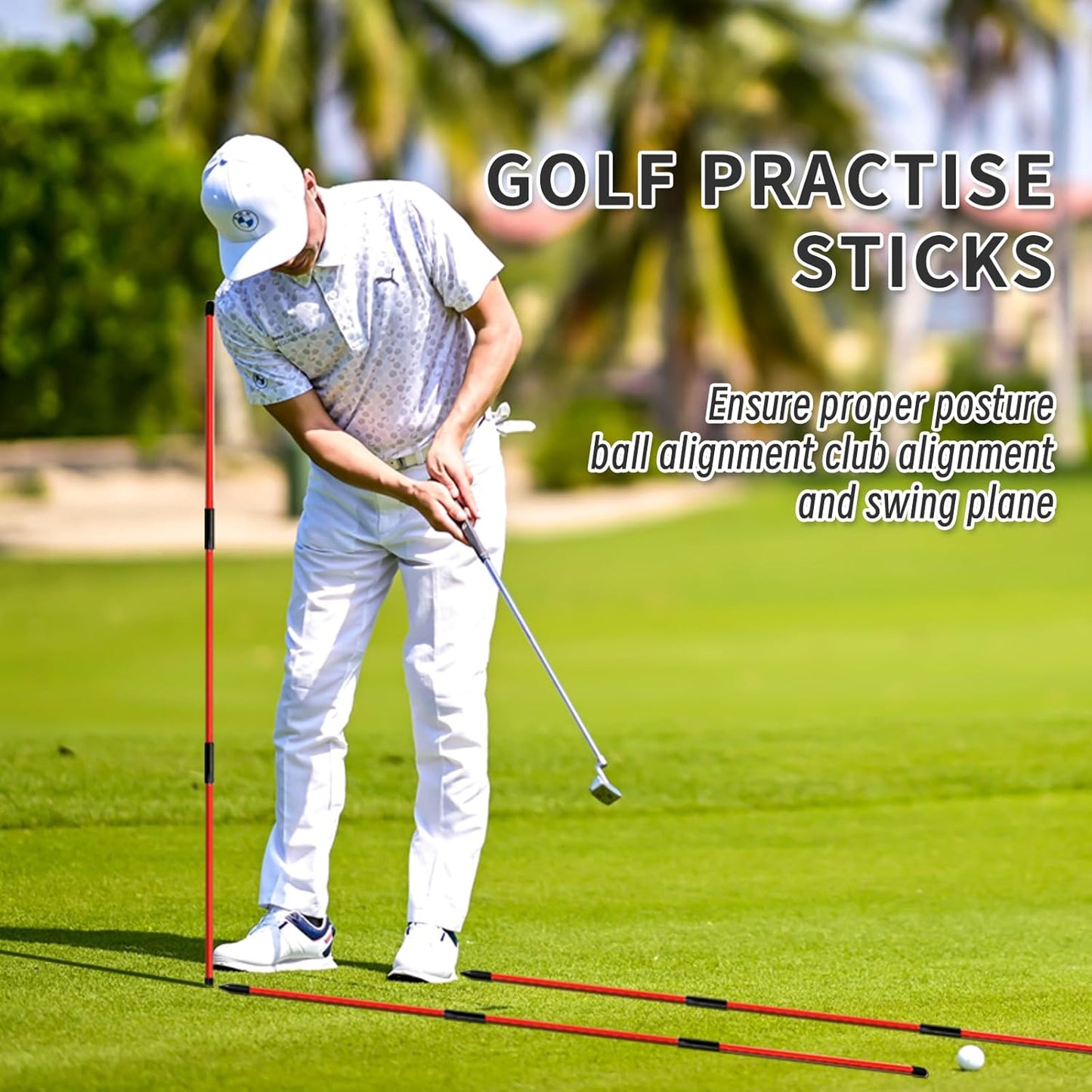 2 Pack Golf Alignment Sticks,Upgraded 48" Collapsible Golf Practice Rods for Aiming,Golf Swing Trainer,Golf Indicator Sticks,Posture Corrector with Clear Tube Case