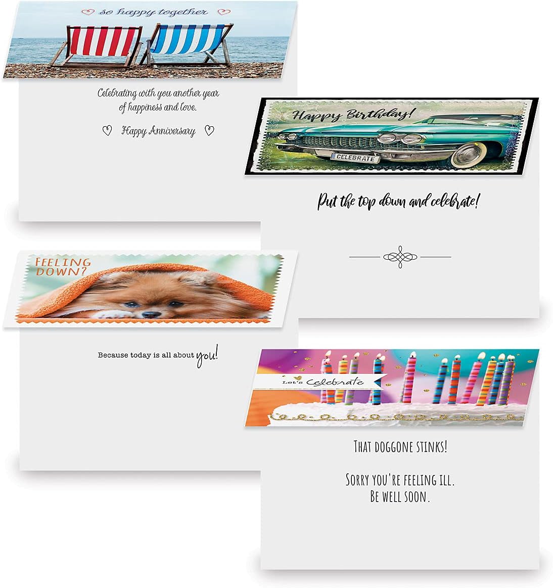 Current Modern Messages All Occasion Value Pack With Seals-40 Cards & Envelopes, Celebration, Get Well, Sympathy, Birthday, Holiday, & Thinking of You Variety, Large 5" x 7" Assortment, 20 Design Set