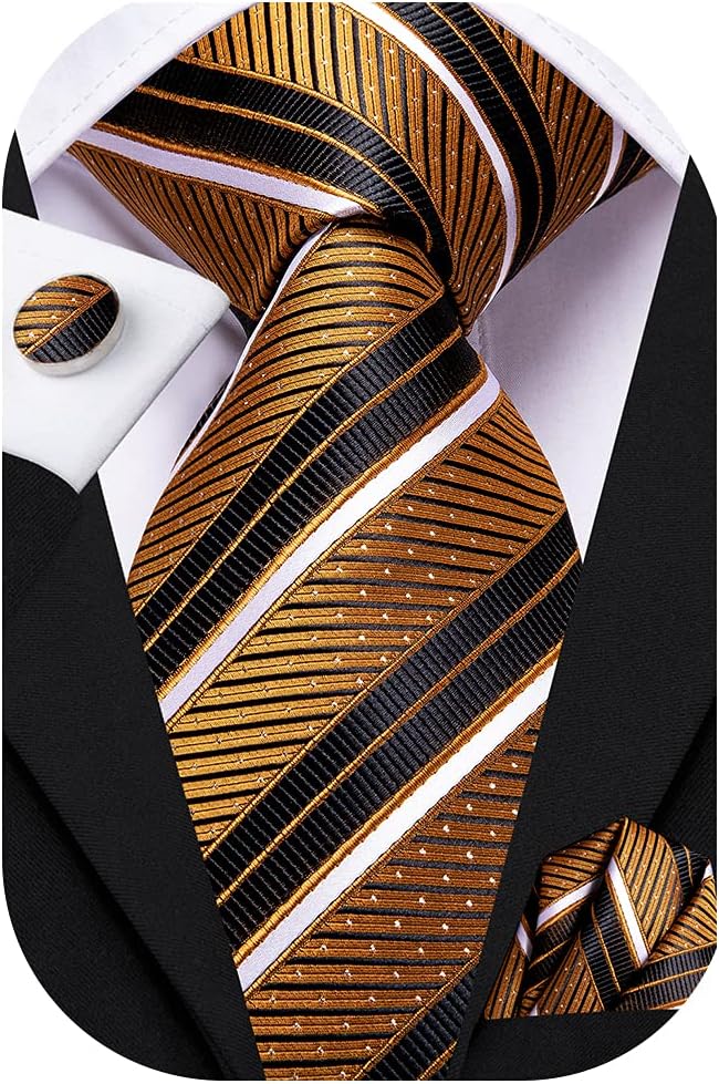 Dubulle Mens Paisley Striped Tie WOVEN Necktie for Men and Handkerchief Cufflinks Set Wedding Formal Business