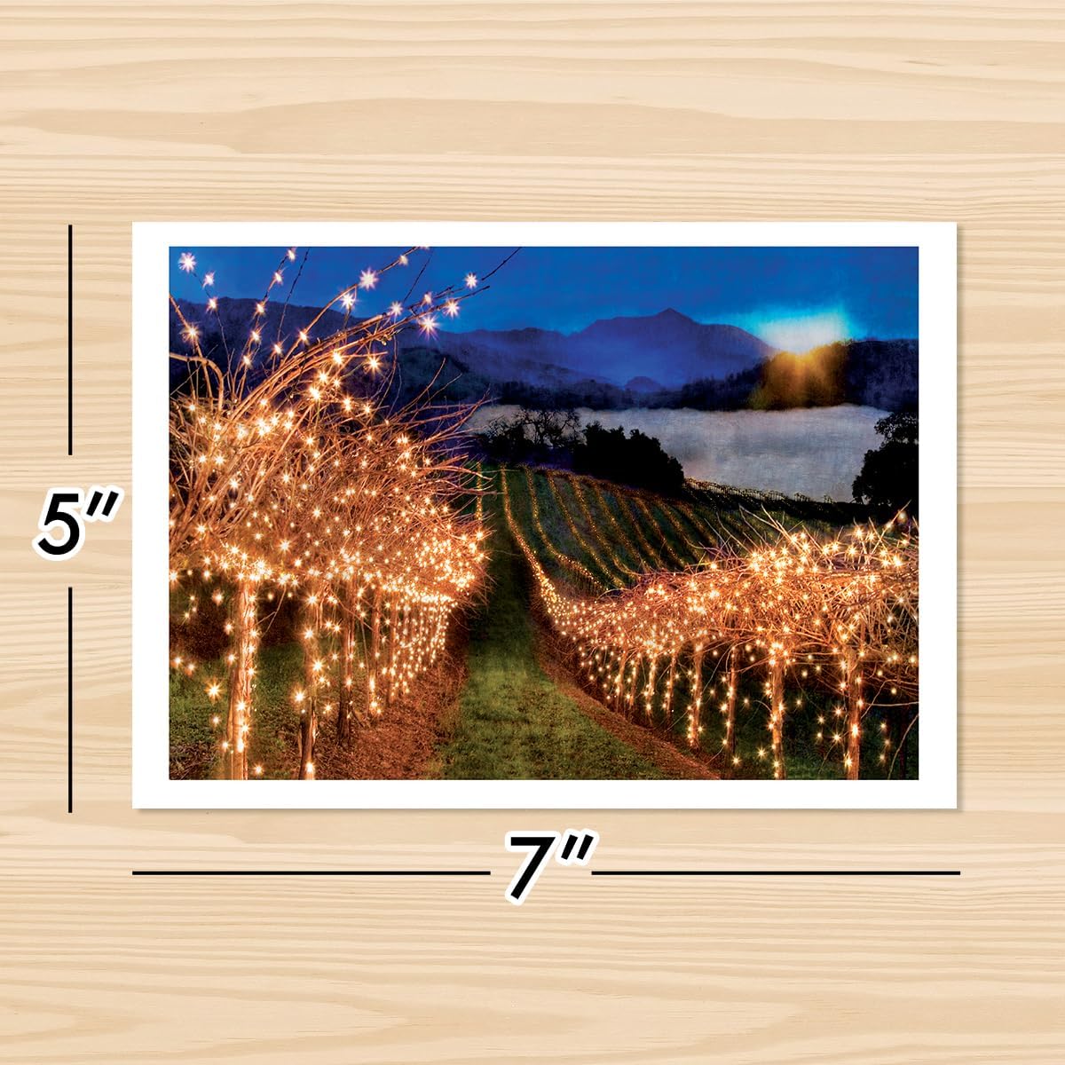 Photographic Happy Holidays Cards, Field of Lights (6 Cards with White Envelopes)