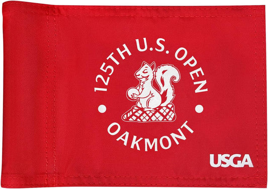 2025 Themed Mini Golf Flag, 8x6 Inch, Double-Sided Silk-Printed, Durable 420D Nylon, Ideal for Backyard Practice Putting Green