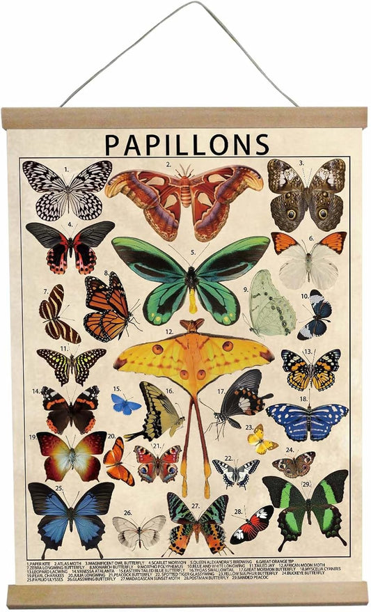 BUPOfromcn Vintage Butterfly Wall Art Decor,Butterfly Wall Hanging 12x16inch Retro Hanging Poster Animal Aesthetic Science Education Office Dorm Bedroom Cool Wall Art Print Poster