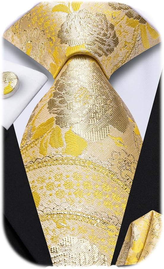 Dubulle Mens Paisley Striped Tie WOVEN Necktie for Men and Handkerchief Cufflinks Set Wedding Formal Business