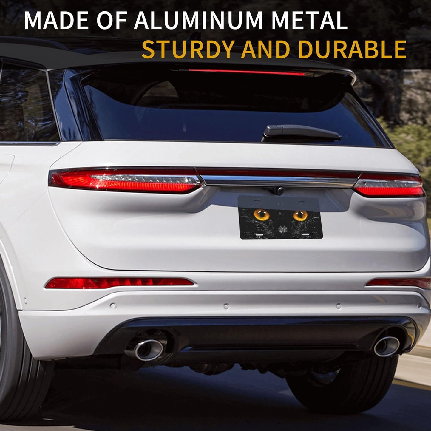 Animal Cat Eyes License Plate Funny Aluminum Front License Plates Decorative Waterproof Rust-Free Metal Car Plate Covers for Women Men Car Tag Accessories fit Truck SUV Rv 12 X 6 in