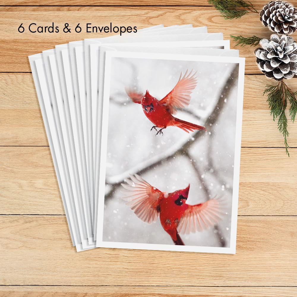 Photographic Season’s Greetings Cards, Northern Cardinals (6 Cards with White Envelopes)
