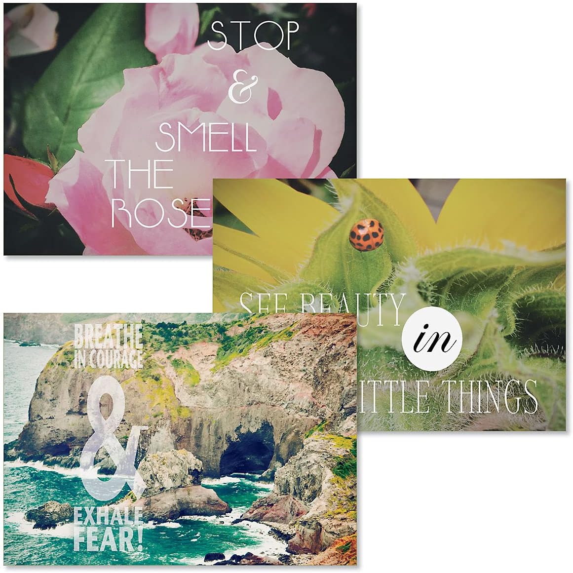 Current Photo Inspirations Thinking of You Friendship Greeting Card Set - Value Pack of 20 Cards With White Envelopes for Friends & Family, 10 Designs, Large 5" x 7" Assortment