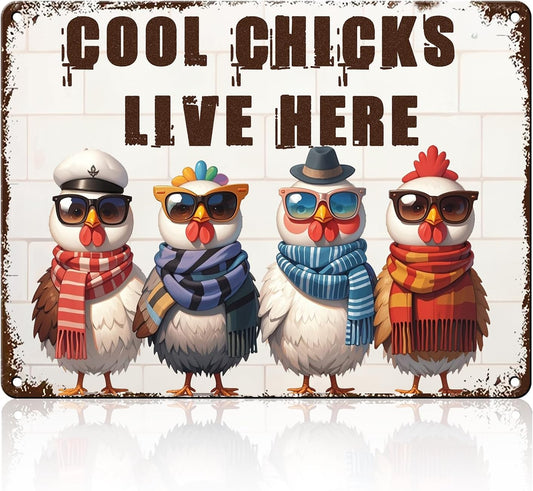 Funny Cool Chicks Live Here Tin Sign Plaque Metal Poster 12x16 Inch Home Kitchen Garden Restaurant Farm Wall Decor