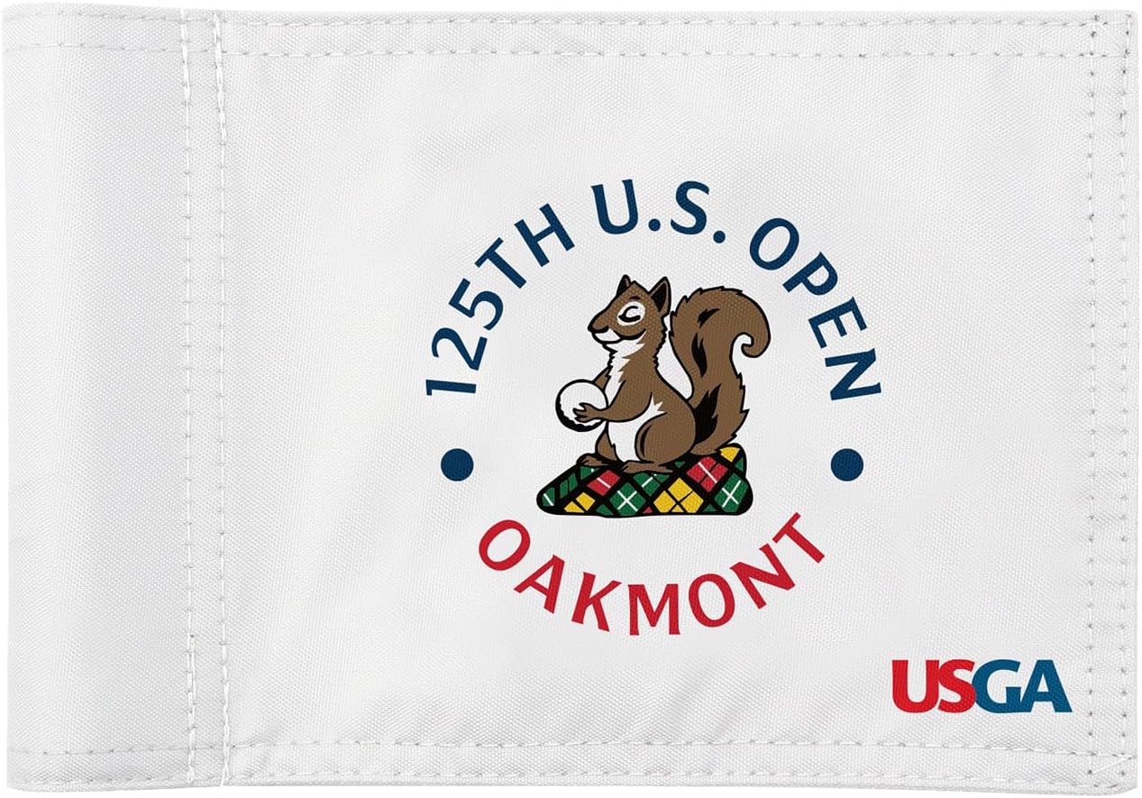 2025 Themed Mini Golf Flag, 8x6 Inch, Double-Sided Silk-Printed, Durable 420D Nylon, Ideal for Backyard Practice Putting Green