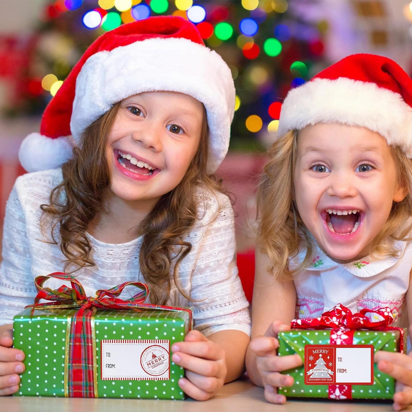 Outus 500 Pieces Christmas Tags Self Adhesive Gift Tags for Xmas Presents Christmas Name Labels Stickers for Wrapping Paper Festival Birthday Holiday Decor(Fresh Style,2.76 x 1.57 Inch)