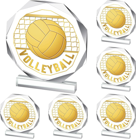 6 Pack Sports Trophy Acrylic Award Medals 4.72 x 4.72 Inch Sports Contest Trophies Bulk Plaques Team Prize Gift Trophies for Competition